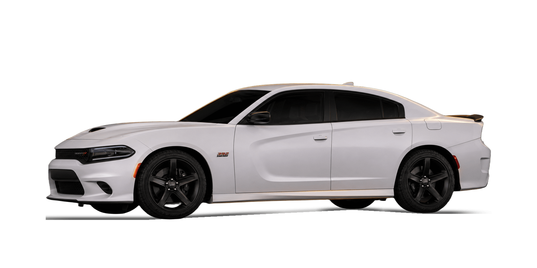 White Dodge Charger Scat Pack sedan with a warm gold rim light in a dark studio.